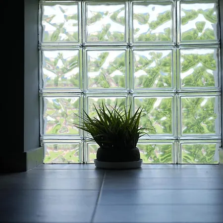 Guest house House