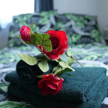 House Guest house