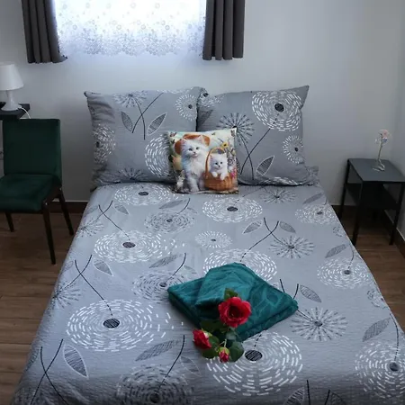 Guest house House Ustron
