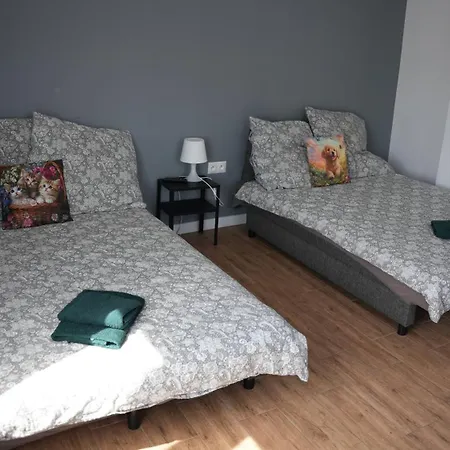 Guest house House